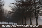 Fordoun-entrance-avenue-of-trees-12