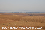 Fordoun-pastures-1