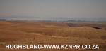 Fordoun-pastures-2