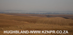 Fordoun-pastures-3