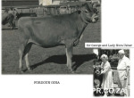 Lady-Usher-and-farm-show-animals