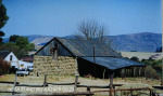Lions Bush old stables converted into C Browns home (3)