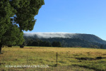 Lions Bush pastures (1)