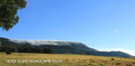 Lions Bush pastures (2)