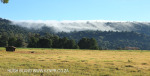 Lions Bush pastures (3)