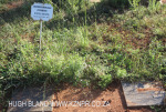 Geluksburg Cemetery Graves - Jacobus Potgieter and other Potgieters