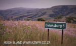 Geluksburg - Middlevale to Bezuidenhouts (9)