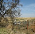 gelykwater-boer-military-cemetary-1901-general-views-s-28-22-392-e-31-03-398-elev-1319m-48