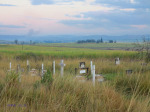 Ginginghlovu Battle Ground & Graves - Cemetary Views - S29.00.599 E 31.34.624 Elev 93m (28)