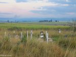 gingingdlovu-battle-ground-graves-cemetary-views-s29-00-599-e-31-34-624-elev-93m-28