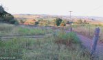 gingingdlovu-nyezane-battle-ground-marker-s28-56-967-e31-32-381-elev-153m-6