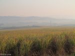 gingingdlovu-nyezane-battle-ground-marker-s28-56-967-e31-32-381-elev-153m-7