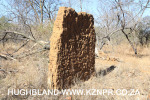 Glencoe-the-Manor-original-farmhouse-wall6