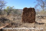Glencoe-the-Manor-original-farmhouse-wall8