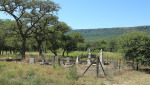 Wasbank - Manor House - De Jager - Graves - overall view (3)