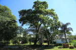 Wasbank - Manor House - De Jager - Rondavels (1)