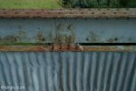 biggarsberg-hime-military-bridge-1883-s28-20-51-e-29-58-03-elev-1096m-1