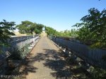 biggarsberg-hime-military-bridge-1883-s28-20-51-e-29-58-03-elev-1096m-4