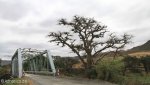 sand-river-bridge-off-n3-s-28-26-28-e-29-29-29-elev-1108m-3
