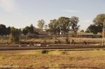 glencoe-goods-station-s-28-10-447-e30-09-250-elev-1310m-4