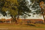 glencoe-primary-school-3