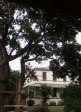 Durban-Glenwood-St-Martins-Home-exterior-239-Clark-Road-22