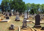 Greytown Cemetery - Grave - Alice Hill
