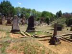 Greytown Cemetery - Grave - G  Stadler & William Mayne