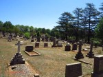 Greytown Cemetery - Grave - General View (5)