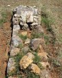 Greytown Cemetery - Grave - Jack Pettiecrew 1897