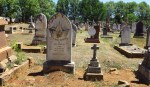 Greytown Cemetery - Grave - Louis Nel 1896