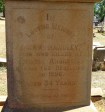 Greytown Cemetery - Grave -  Mark Handley - Rhodesian Rebellion at Inyati 1896 (1)