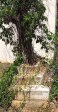 Greytown Cemetery - Grave -  Soldier UMR