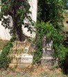 Greytown Cemetery - Grave -  Terrence Duckham 1896