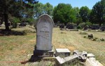 Greytown Cemetery - Grave -  William Wilson 1903