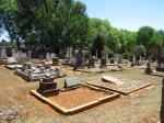 Greytown Cemetery - Grave - overview (2)
