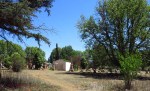 Greytown Cemetery - Grave - overviews