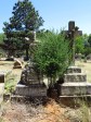 Greytown Cemetery - Grave -  unreadable (2)