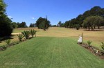 Greytown Golf Course - Fairways (3)