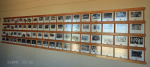 Greytown - Greytown Hoerskool -  Class photos