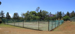 Greytown - Harding Street - King Edward VII Park Sportsfield - Tennis (2)