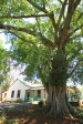 Greytown Museum - Durban Street - Building elevations (2)
