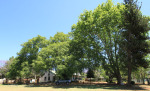 Greytown Museum - Durban Street - Building elevations (3)