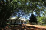 Greytown Museum - Durban Street - Building elevations (5)
