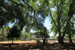 Greytown Museum - Durban Street - Gardens