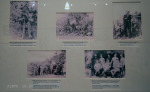 Greytown Museum - Durban Street - photos - Louis Botha