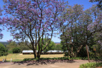 Greytown - Wembley College - Hallcar Road - 29.04.529 S 30.35.459 E (3)