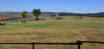 Greytown - Wembley College - Hallcar Road - 29.04.529 S 30.35.459 E (6)