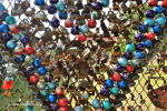 Durban-Florida-Road-Park-Locks-2