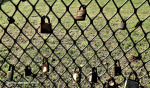 Durban-Florida-Road-Park-Locks-3